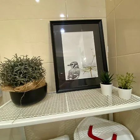 Cozy In Campo De Ourique Apartment *